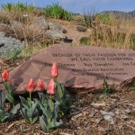 12-04-11 DSC_0200 west entry flagstone